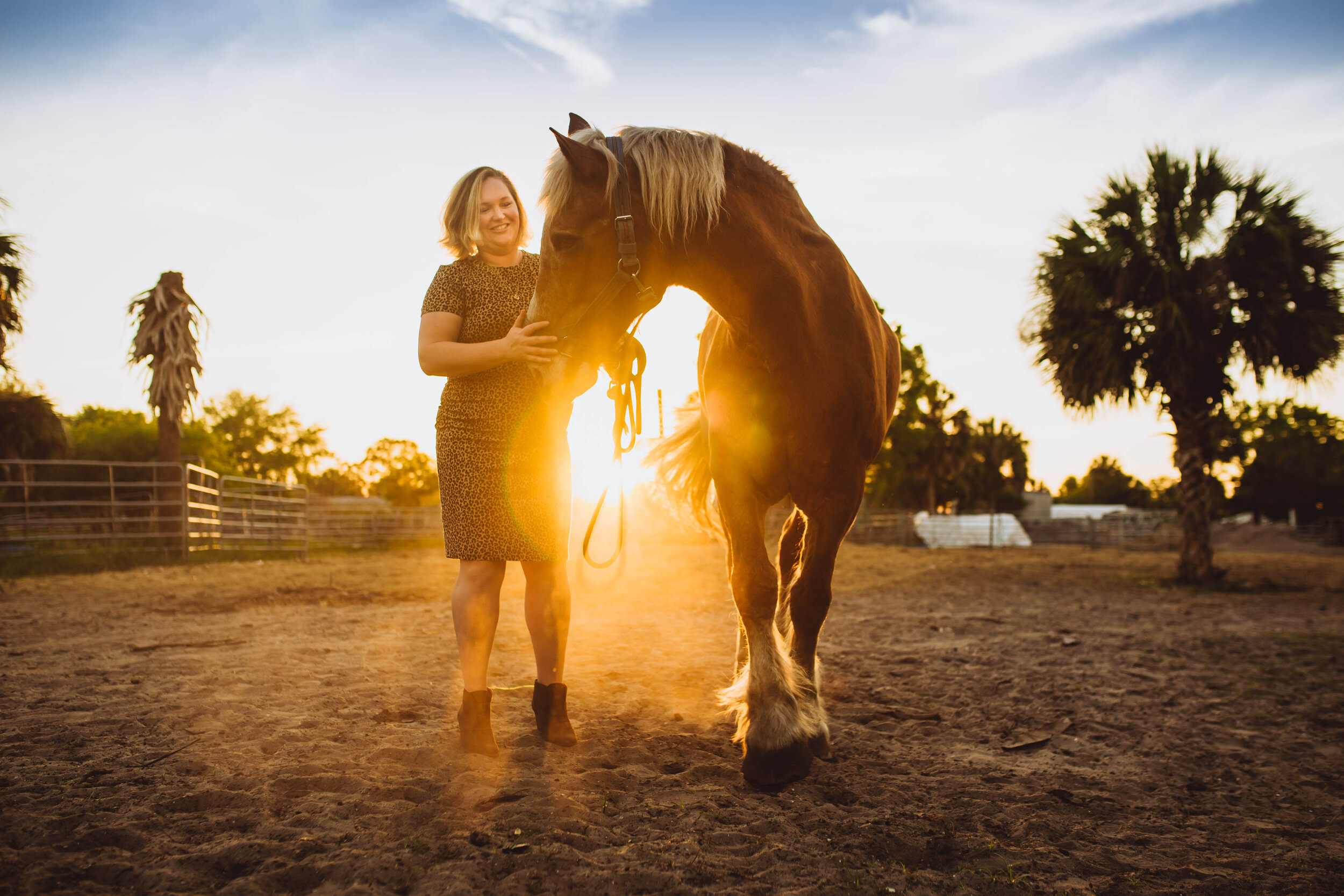 maternity photos with a horse, brandon fl photographer